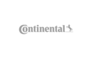Continental Engineering Services