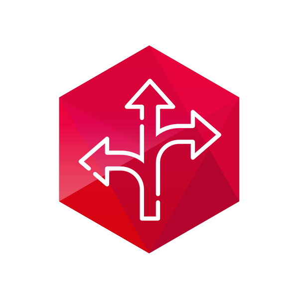 XBN Software - Icon zum Thema Flexibilität