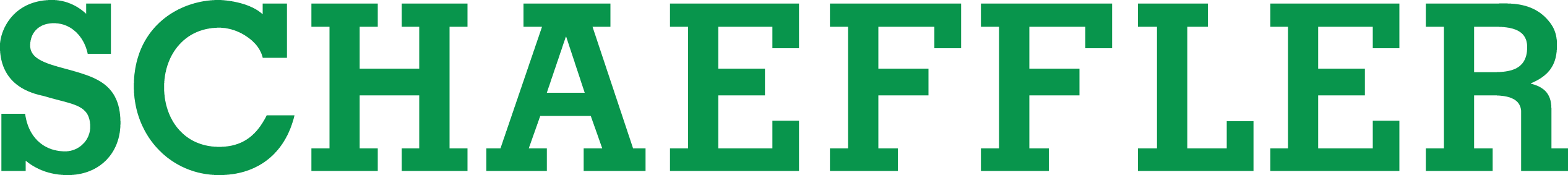 Schaeffler Technologies AG & Co.KG